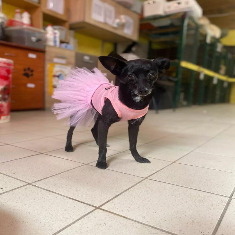 It's All About Me Princess Tutu