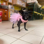 It's All About Me Princess Tutu